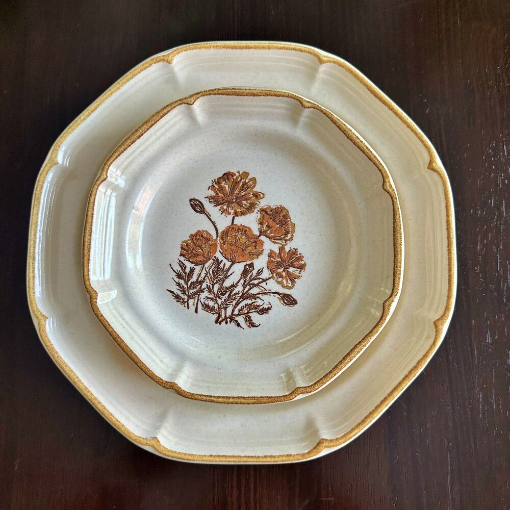 Vtg Shenandoah Bright Eyes by Jeanette Dinner Plate & Salad Plate Set Stoneware